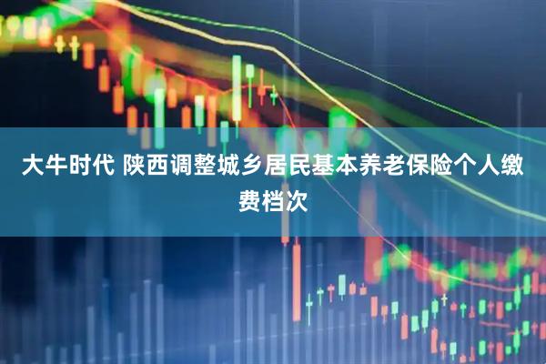 大牛时代 陕西调整城乡居民基本养老保险个人缴费档次