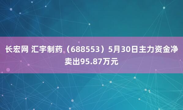 长宏网 汇宇制药（688553）5月30日主力资金净卖出95.87万元
