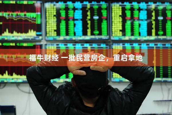 福牛财经 一批民营房企，重启拿地