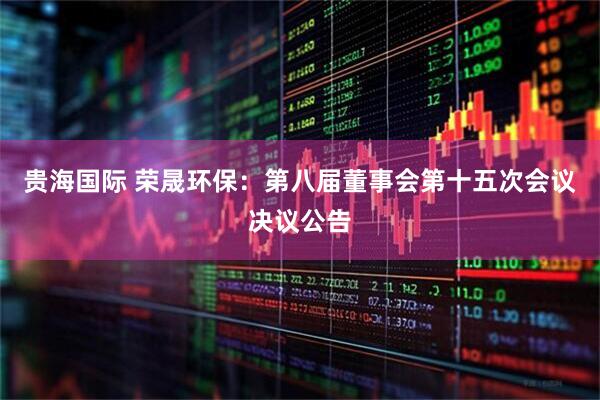 贵海国际 荣晟环保：第八届董事会第十五次会议决议公告