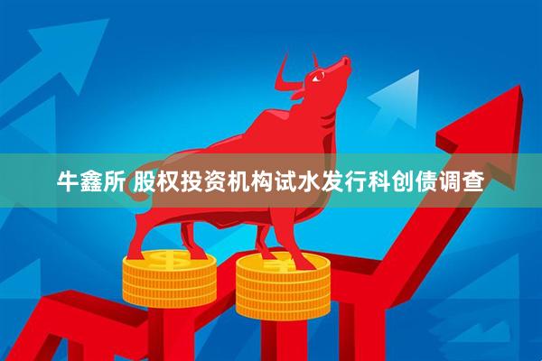 牛鑫所 股权投资机构试水发行科创债调查