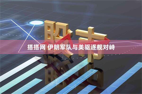 搭搭网 伊朗军队与美驱逐舰对峙