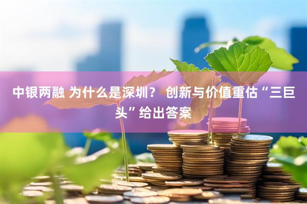 中银两融 为什么是深圳？ 创新与价值重估“三巨头”给出答案