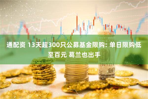 通配资 13天超300只公募基金限购: 单日限购低至百元 葛兰也出手