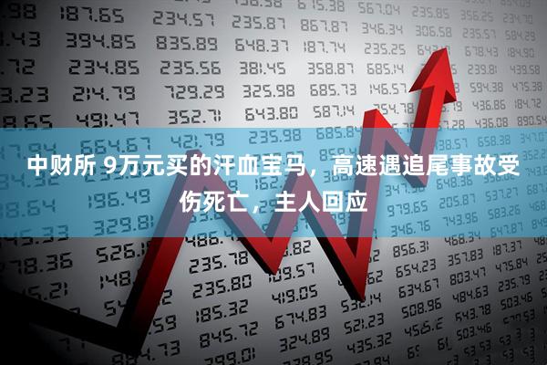 中财所 9万元买的汗血宝马，高速遇追尾事故受伤死亡，主人回应
