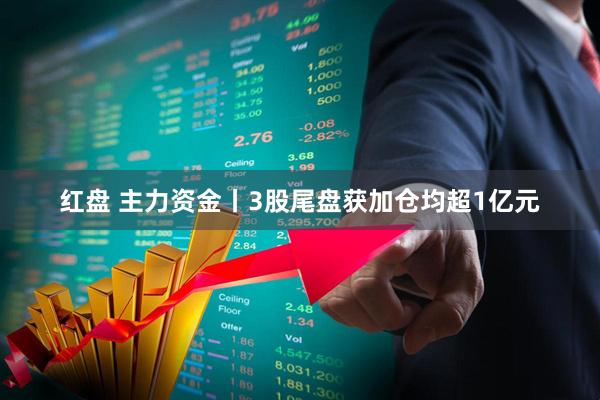 红盘 主力资金丨3股尾盘获加仓均超1亿元