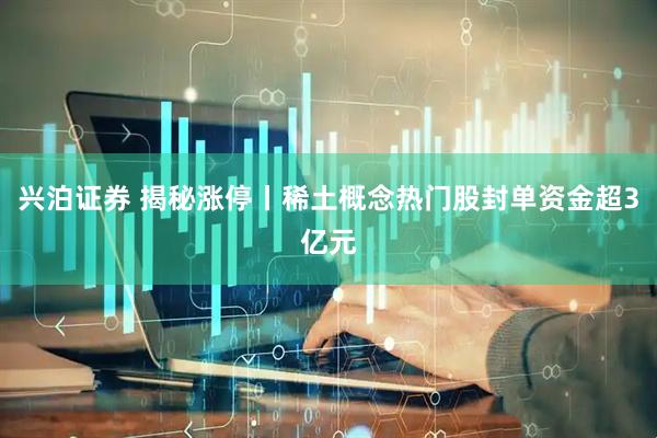 兴泊证券 揭秘涨停丨稀土概念热门股封单资金超3亿元