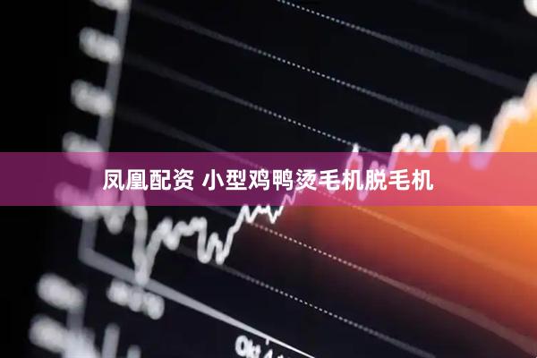 凤凰配资 小型鸡鸭烫毛机脱毛机