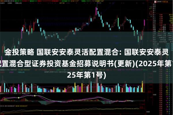 金投策略 国联安安泰灵活配置混合: 国联安安泰灵活配置混合型证券投资基金招募说明书(更新)(2025年第1号)