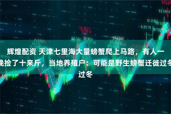 辉煌配资 天津七里海大量螃蟹爬上马路，有人一晚捡了十来斤，当地养殖户：可能是野生螃蟹迁徙过冬