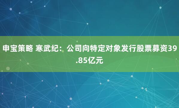 申宝策略 寒武纪：公司向特定对象发行股票募资39.85亿元